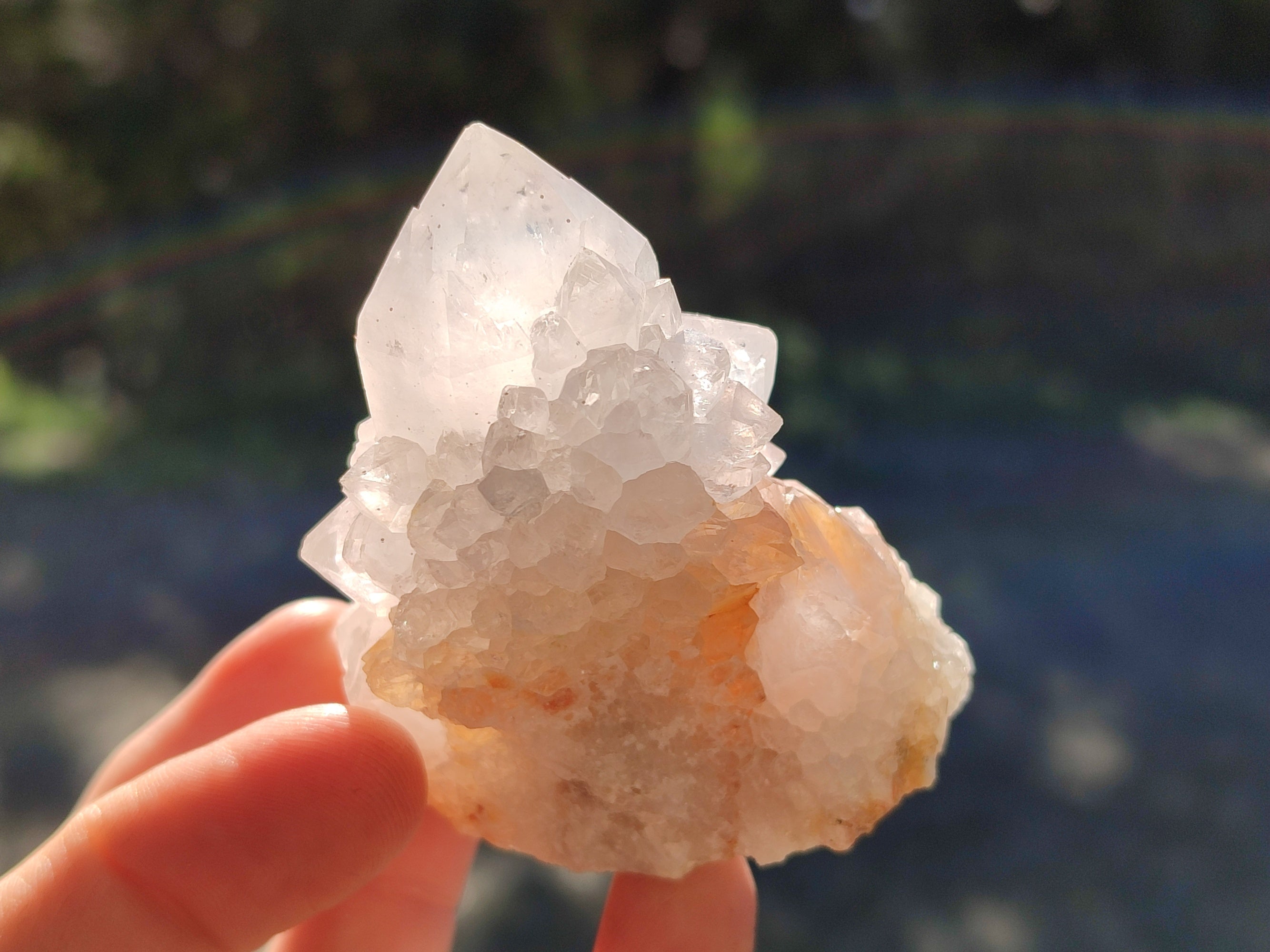 Natural Cactus Flower Spirit Quartz Clusters x 12 From South Africa - Toprock Gemstones and Minerals 