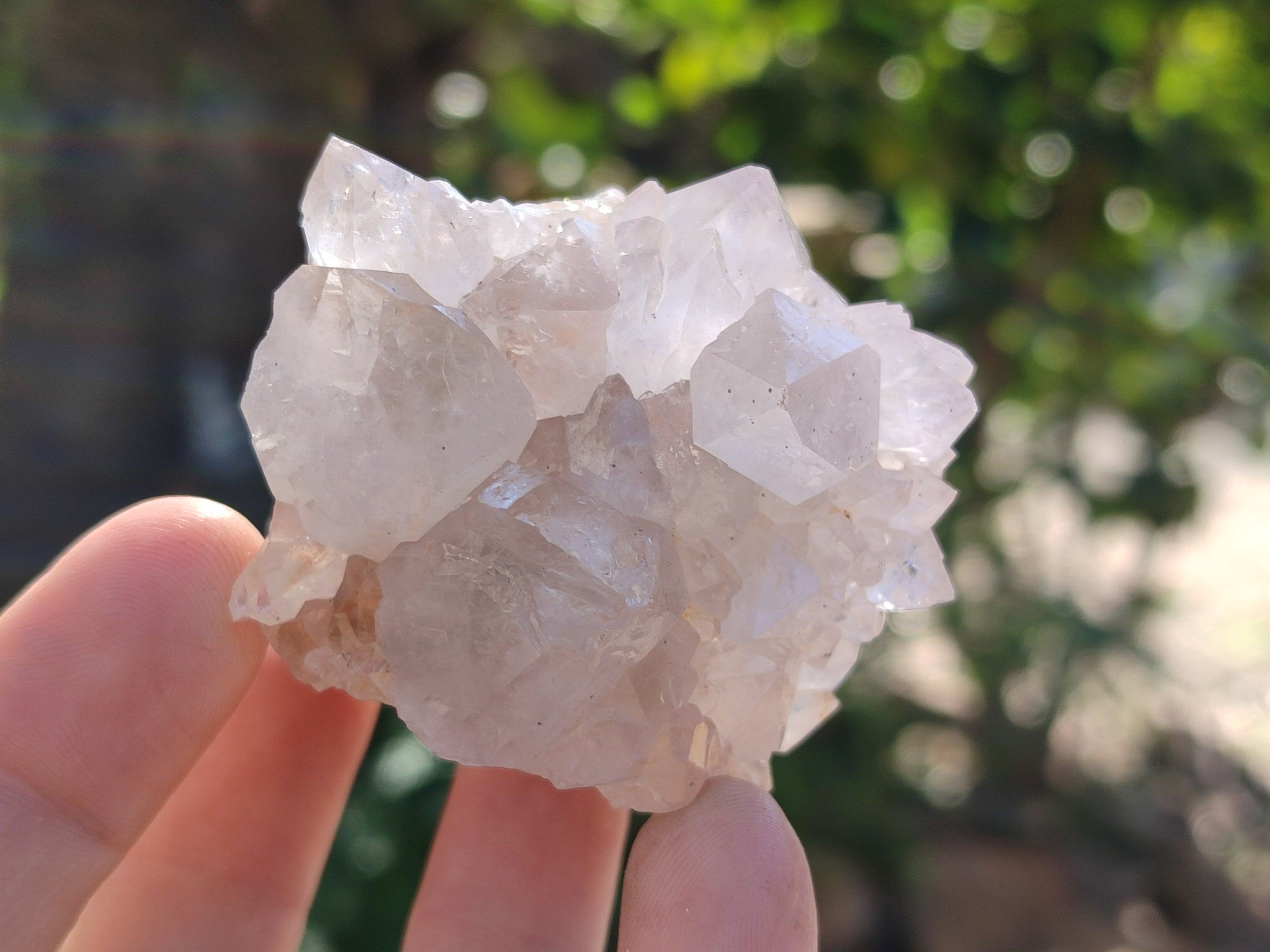 Natural Cactus Flower Spirit Quartz Clusters x 12 From South Africa - Toprock Gemstones and Minerals 