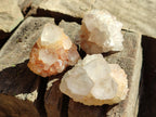 Natural Cactus Flower Spirit Quartz Clusters x 12 From South Africa - Toprock Gemstones and Minerals 