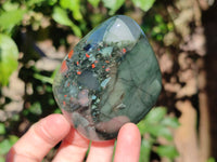 Polished Bloodstone Standing Free Forms x 3 From Swaziland