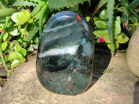 Polished Bloodstone Standing Free Forms x 3 From Swaziland