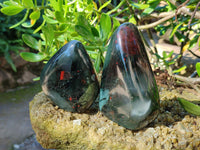 Polished Bloodstone Standing Free Forms x 3 From Swaziland