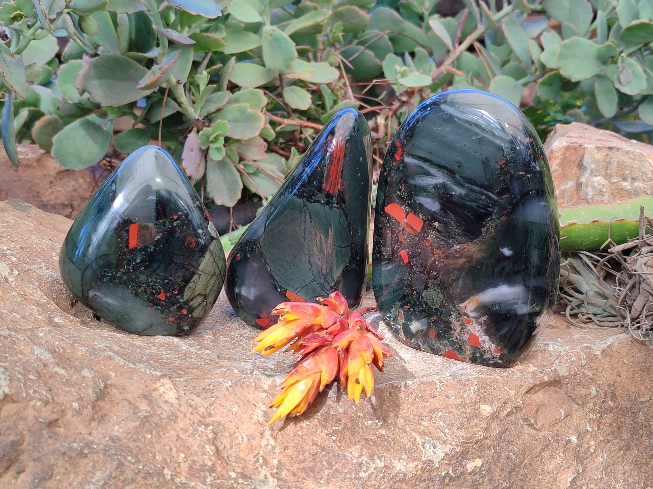 Polished Bloodstone Standing Free Forms x 3 From Swaziland - Toprock Gemstones and Minerals 