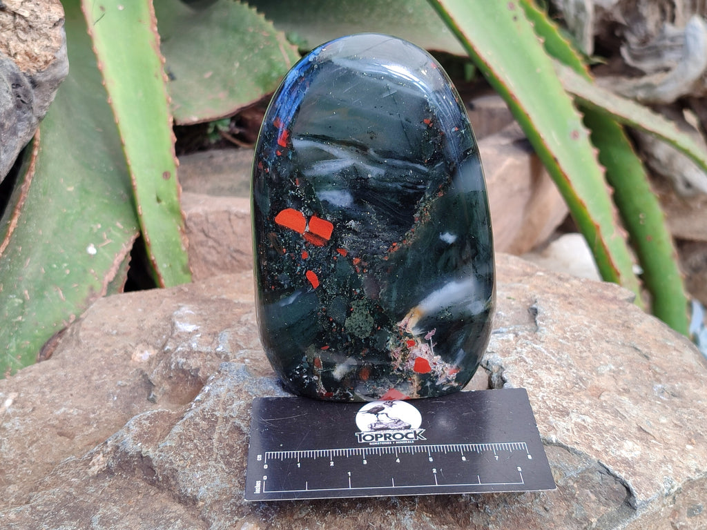 Polished Bloodstone Standing Free Forms x 3 From Swaziland - Toprock Gemstones and Minerals 