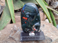 Polished Bloodstone Standing Free Forms x 3 From Swaziland