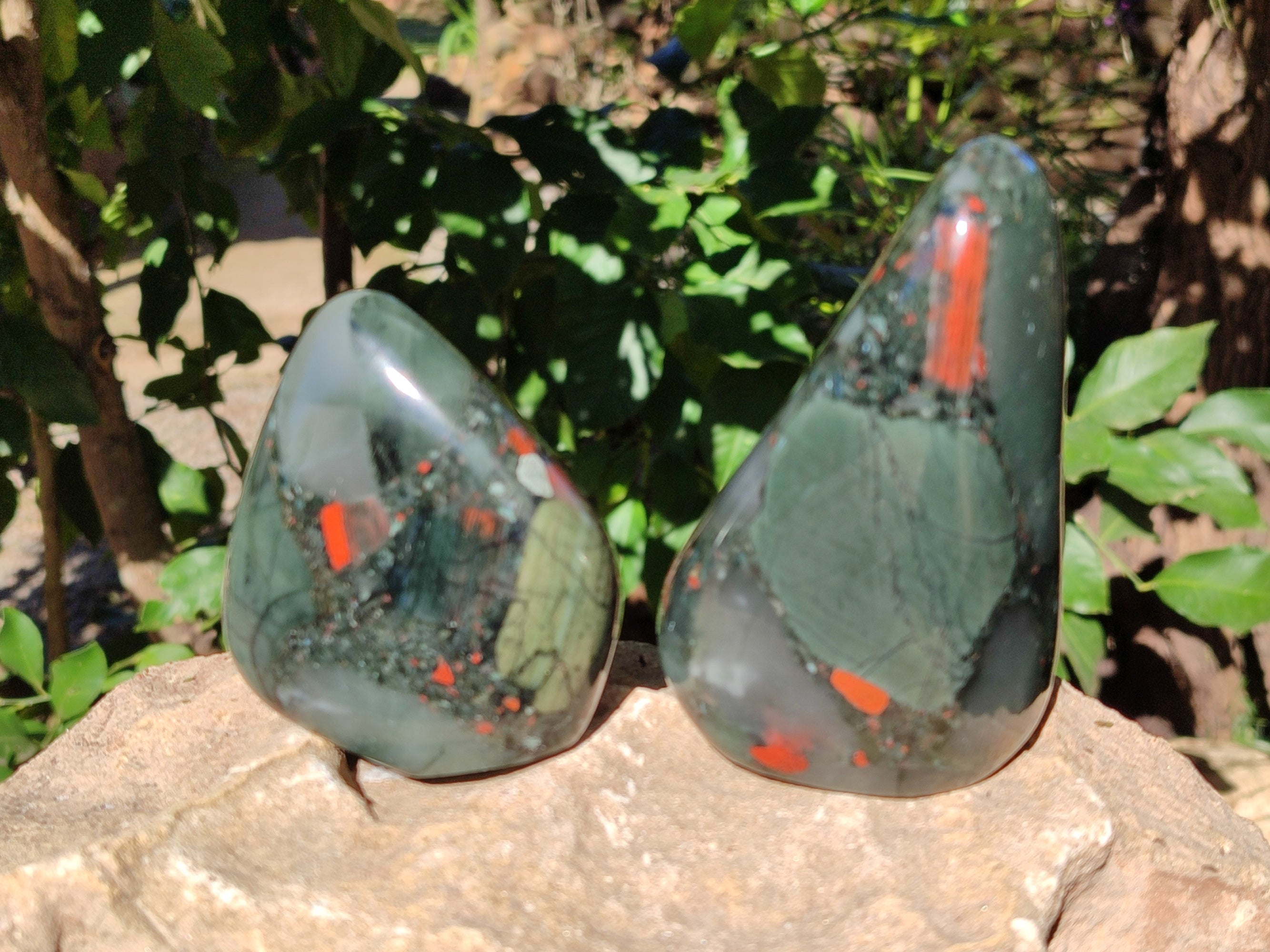 Polished Bloodstone Standing Free Forms x 3 From Swaziland - Toprock Gemstones and Minerals 