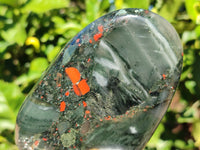 Polished Bloodstone Standing Free Forms x 3 From Swaziland