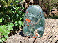 Polished Bloodstone Standing Free Forms x 3 From Swaziland