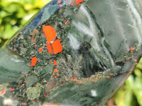 Polished Bloodstone Standing Free Forms x 3 From Swaziland