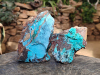 Natural Drusy Coated Chrysocolla with Malachite x 2 From Lupoto Mine, Congo - Toprock Gemstones and Minerals 