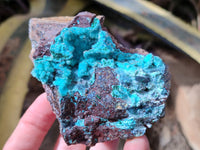Natural Drusy Coated Chrysocolla with Malachite x 2 From Lupoto Mine, Congo - Toprock Gemstones and Minerals 