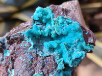 Natural Drusy Coated Chrysocolla with Malachite x 2 From Lupoto Mine, Congo - Toprock Gemstones and Minerals 