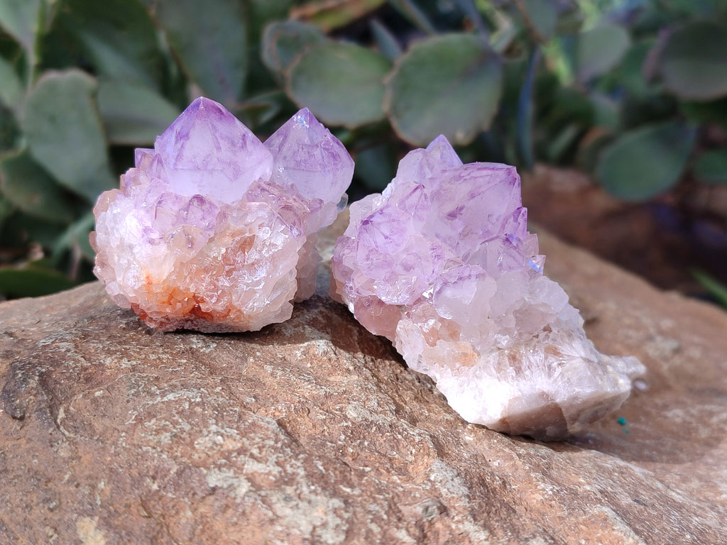 Natural Amethyst Spirit Quartz Clusters x 12 From Boekenhouthoek, South Africa - Toprock Gemstones and Minerals 