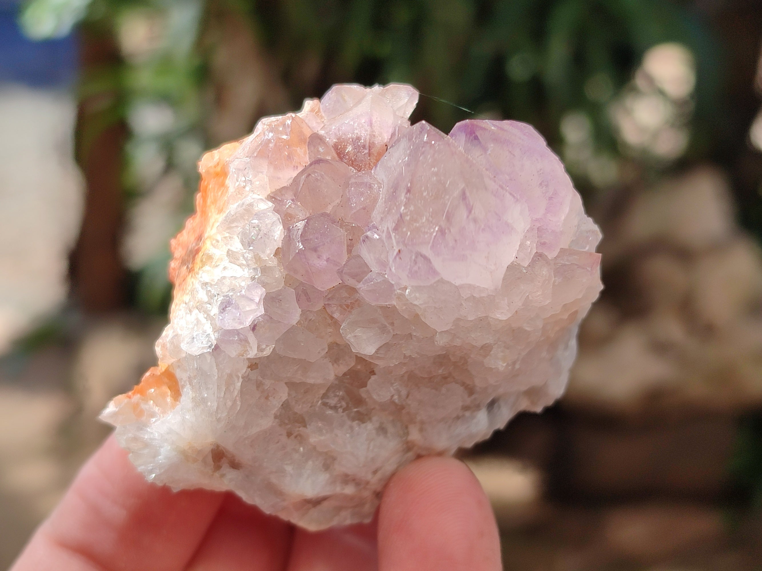 Natural Amethyst Spirit Quartz Clusters x 12 From Boekenhouthoek, South Africa - Toprock Gemstones and Minerals 