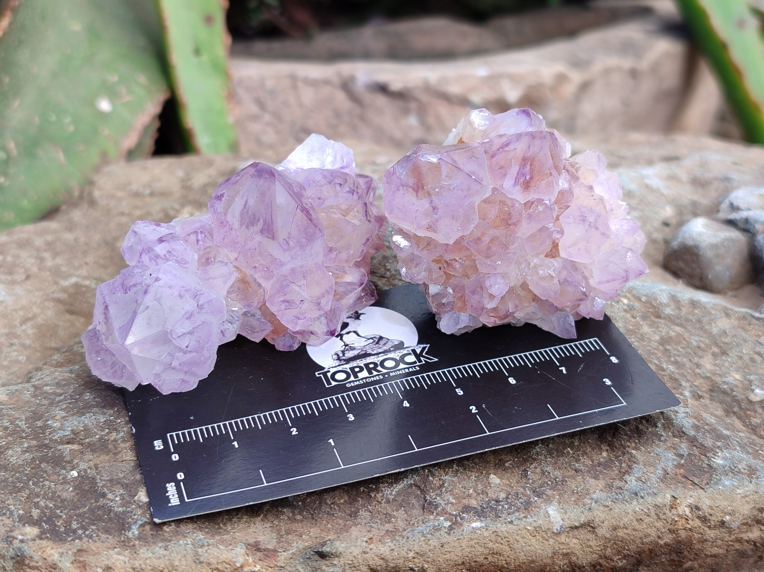 Natural Amethyst Spirit Quartz Clusters x 12 From Boekenhouthoek, South Africa - Toprock Gemstones and Minerals 