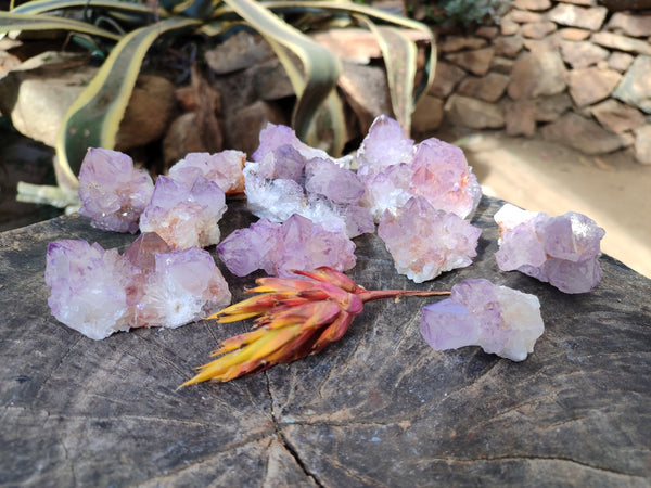 Natural Amethyst Spirit Quartz Clusters x 12 From Boekenhouthoek, South Africa