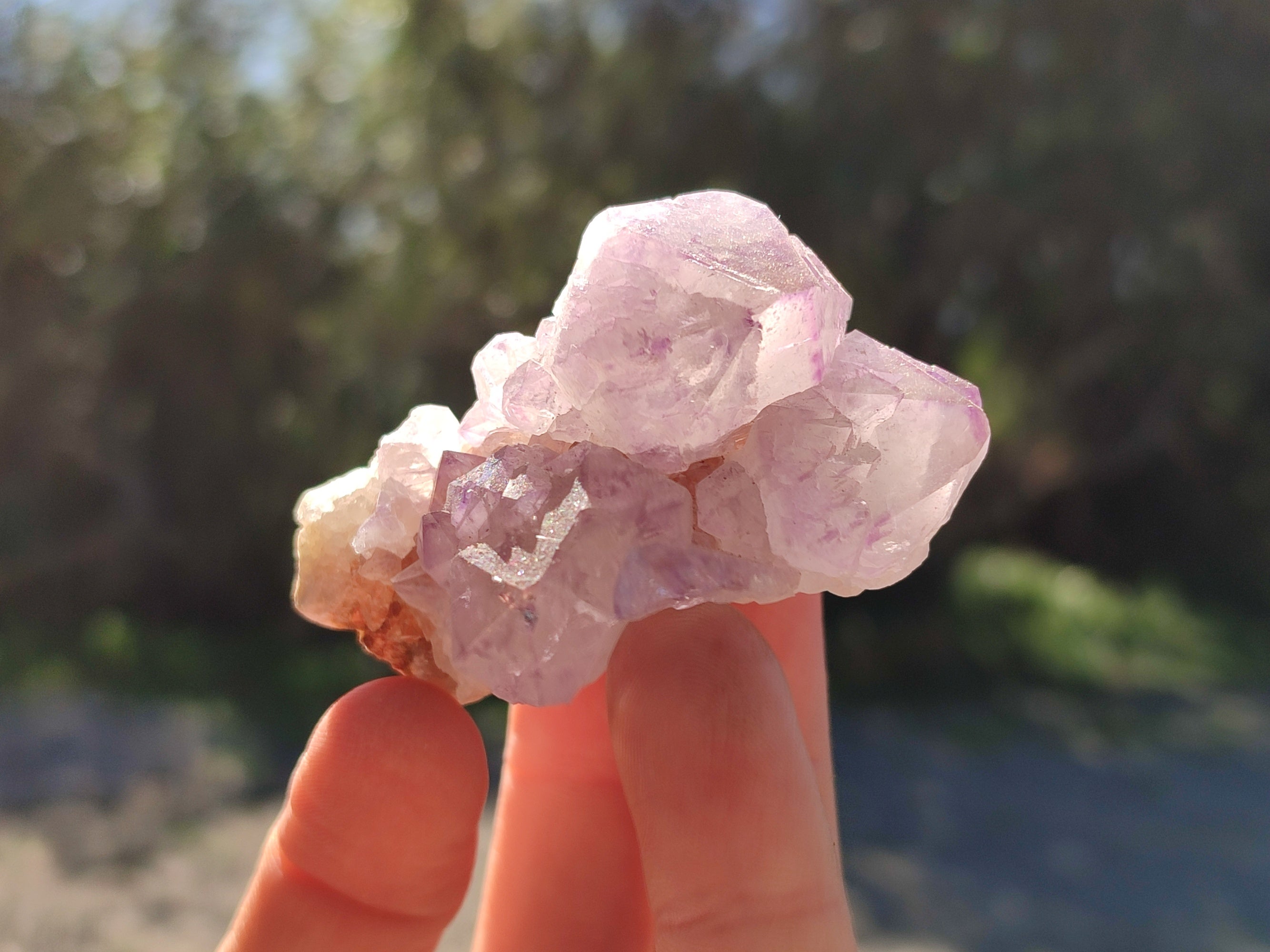 Natural Amethyst Spirit Quartz Clusters x 12 From Boekenhouthoek, South Africa - Toprock Gemstones and Minerals 