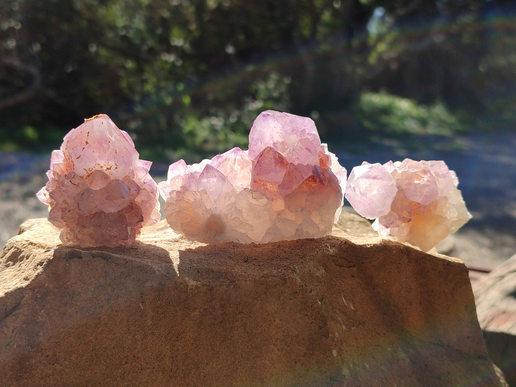 Natural Amethyst Spirit Quartz Clusters x 12 From Boekenhouthoek, South Africa - Toprock Gemstones and Minerals 
