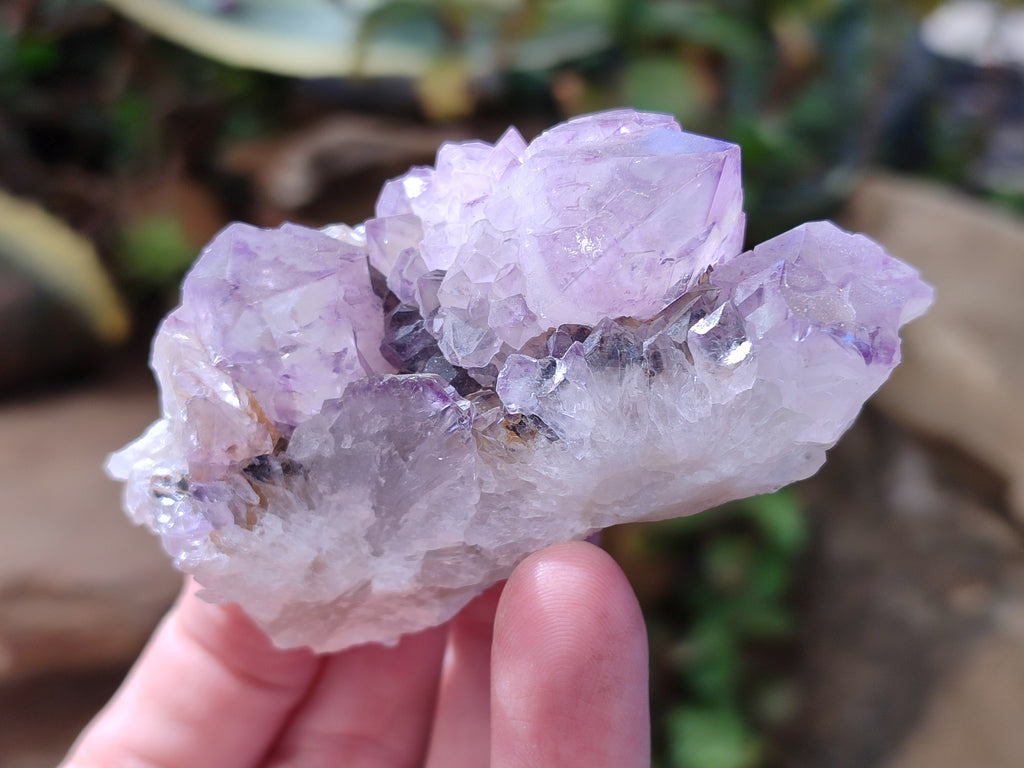 Natural Amethyst Spirit Quartz Clusters x 12 From Boekenhouthoek, South Africa - Toprock Gemstones and Minerals 