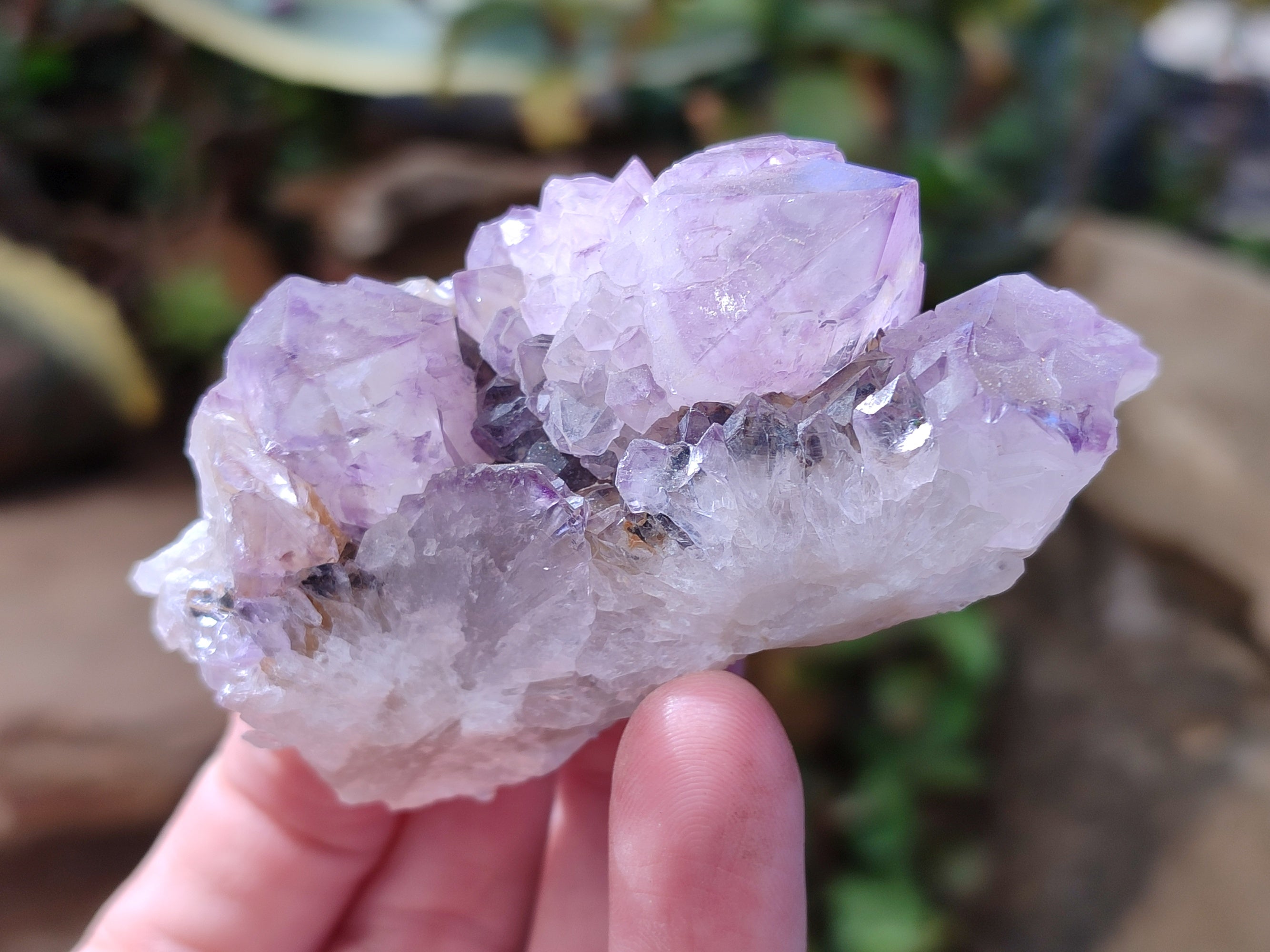 Natural Amethyst Spirit Quartz Clusters x 12 From Boekenhouthoek, South Africa - Toprock Gemstones and Minerals 