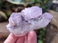 Natural Amethyst Spirit Quartz Clusters x 12 From Boekenhouthoek, South Africa - Toprock Gemstones and Minerals 