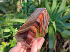 Polished Banded Tiger Iron Points x 2 From Northern Cape, South Africa - Toprock Gemstones and Minerals 