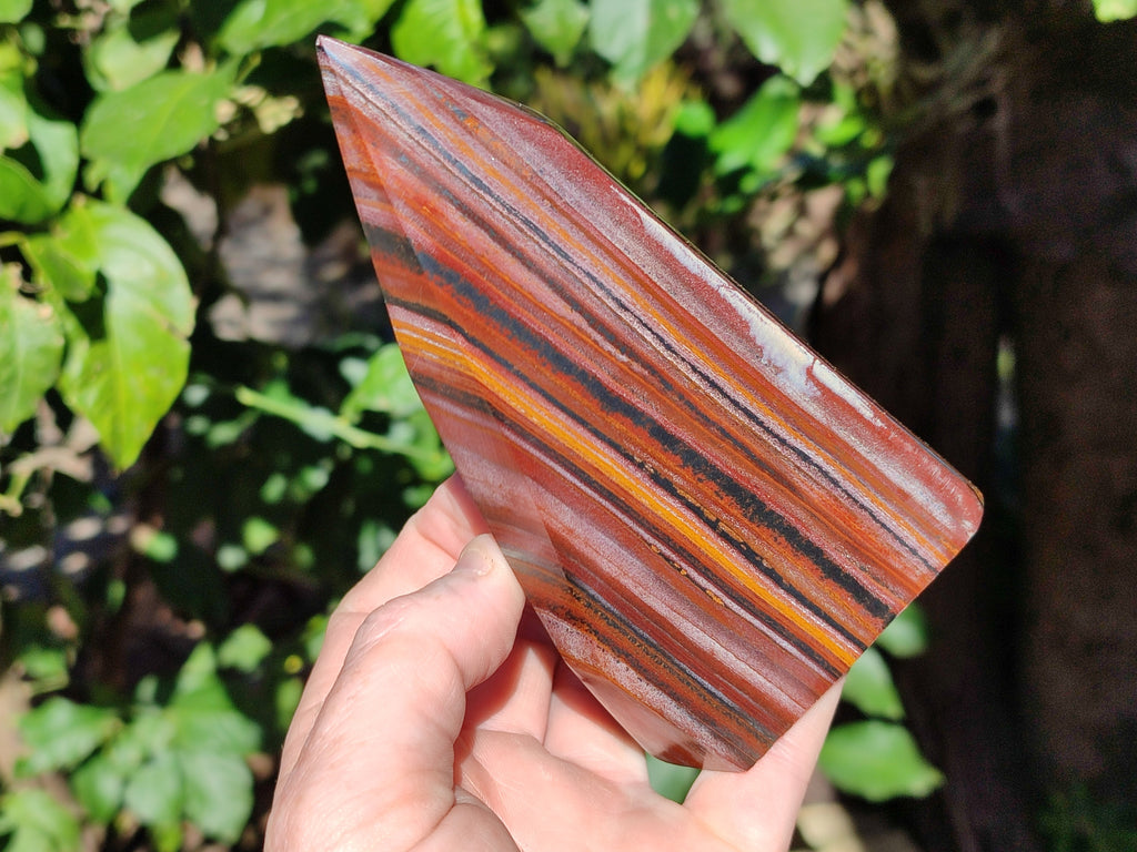Polished Banded Tiger Iron Points x 2 From Northern Cape, South Africa - Toprock Gemstones and Minerals 