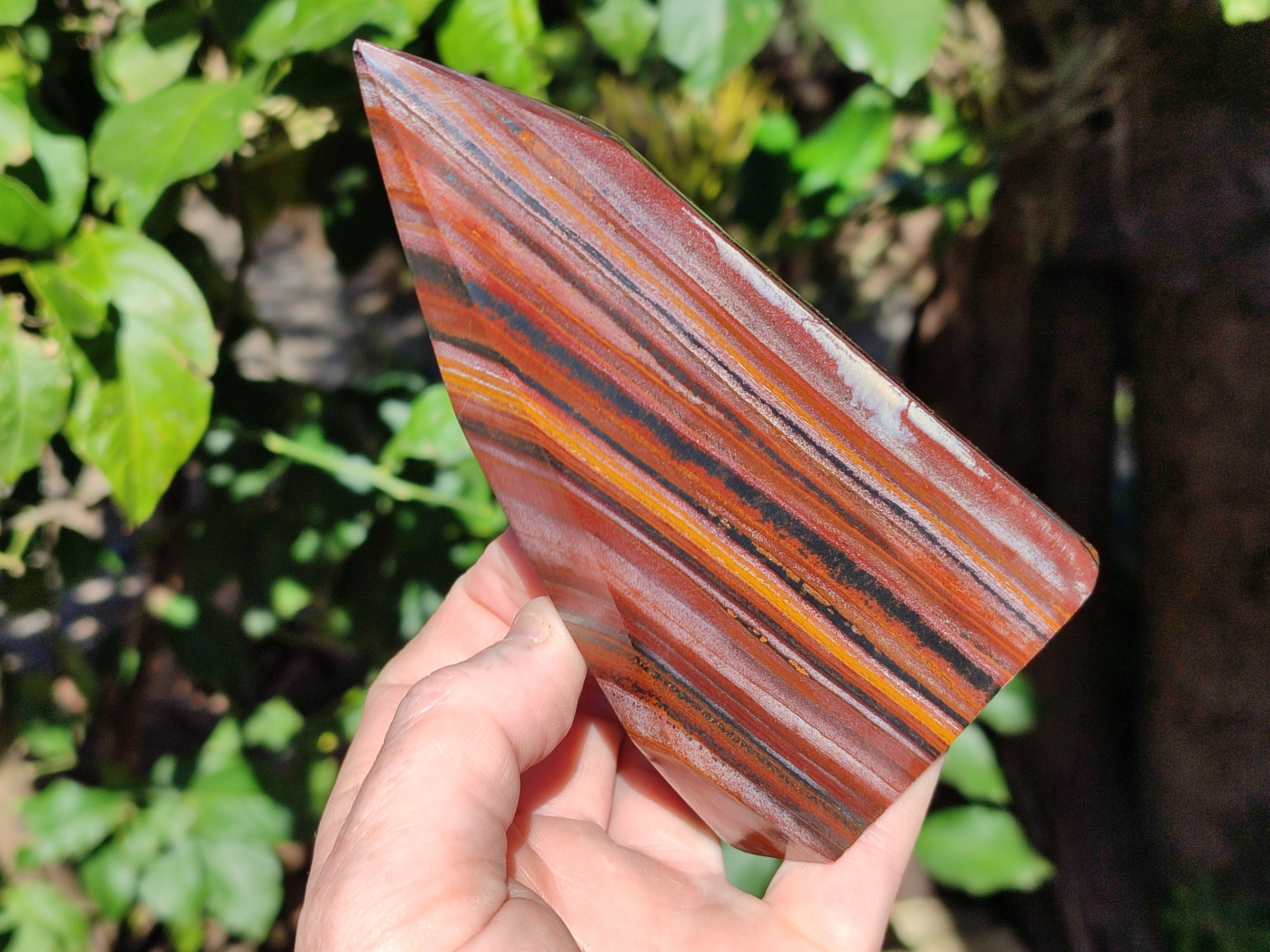 Polished Banded Tiger Iron Points x 2 From Northern Cape, South Africa - Toprock Gemstones and Minerals 