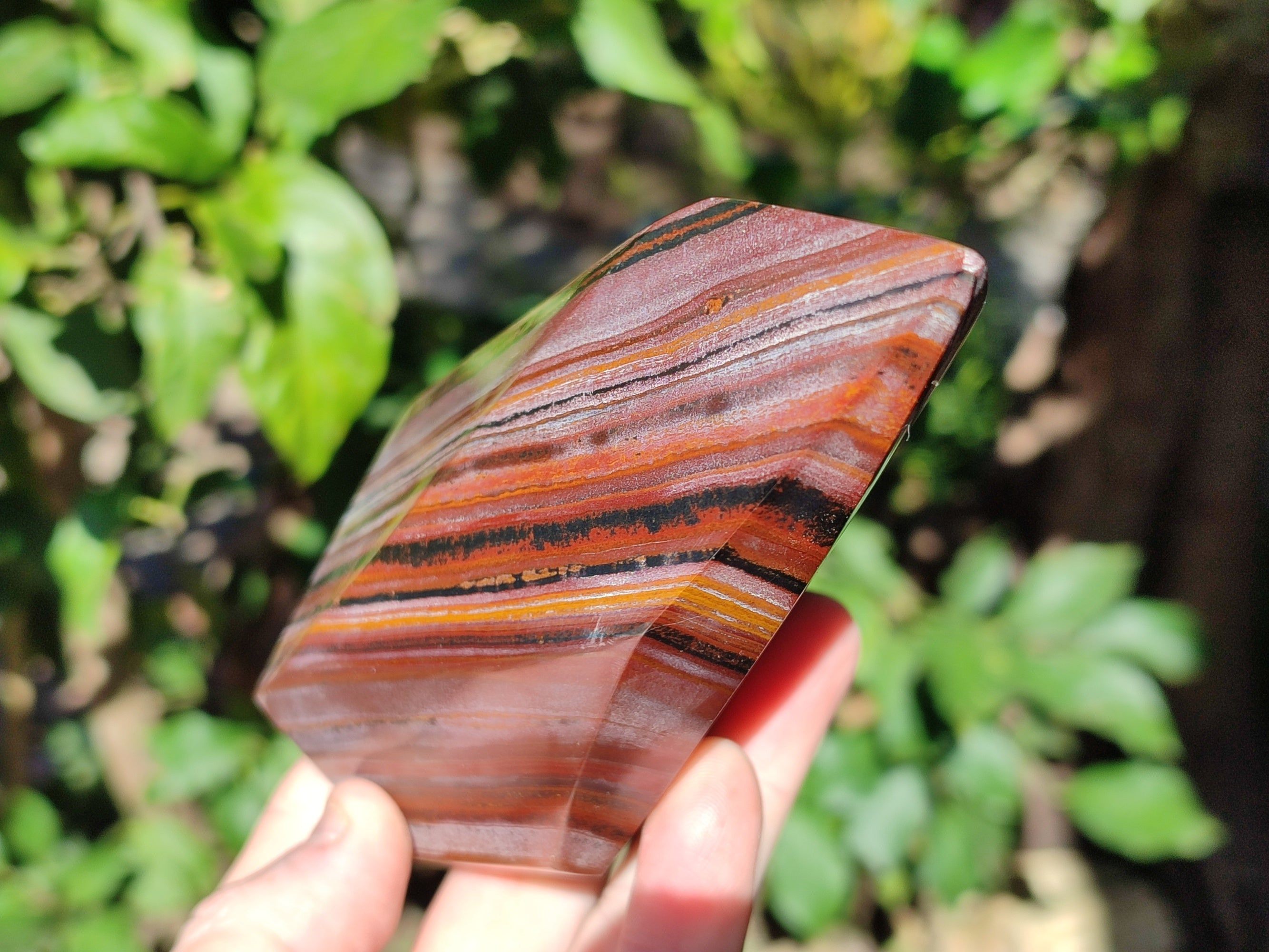 Polished Banded Tiger Iron Points x 2 From Northern Cape, South Africa - Toprock Gemstones and Minerals 