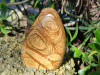 Polished Picture Stone Jasper Standing Free Forms x 2 From Ais-Ais, Namibia - Toprock Gemstones and Minerals 