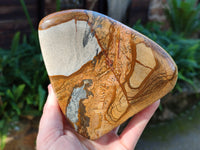 Polished Picture Stone Jasper Standing Free Forms x 2 From Ais-Ais, Namibia - Toprock Gemstones and Minerals 