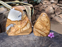 Polished Picture Stone Jasper Standing Free Forms x 2 From Ais-Ais, Namibia - Toprock Gemstones and Minerals 