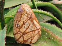 Polished Picture Stone Jasper Standing Free Forms x 2 From Ais-Ais, Namibia - Toprock Gemstones and Minerals 