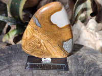 Polished Picture Stone Jasper Standing Free Forms x 2 From Ais-Ais, Namibia - Toprock Gemstones and Minerals 