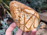 Polished Picture Stone Jasper Standing Free Forms x 2 From Ais-Ais, Namibia - Toprock Gemstones and Minerals 