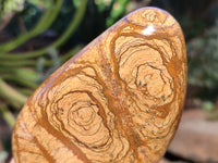 Polished Picture Stone Jasper Standing Free Forms x 2 From Ais-Ais, Namibia - Toprock Gemstones and Minerals 