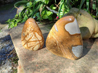 Polished Picture Stone Jasper Standing Free Forms x 2 From Ais-Ais, Namibia - Toprock Gemstones and Minerals 