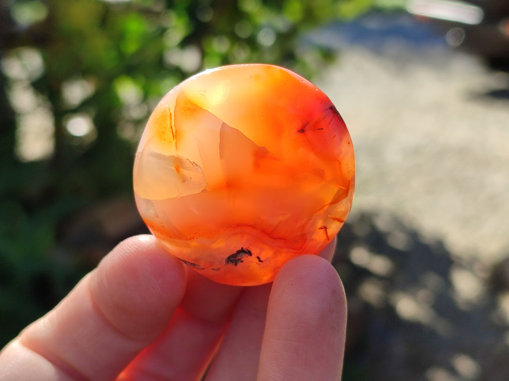 Polished Carnelian Palm Stones x 24 From Madagascar - Toprock Gemstones and Minerals 
