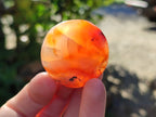 Polished Carnelian Palm Stones x 24 From Madagascar - Toprock Gemstones and Minerals 