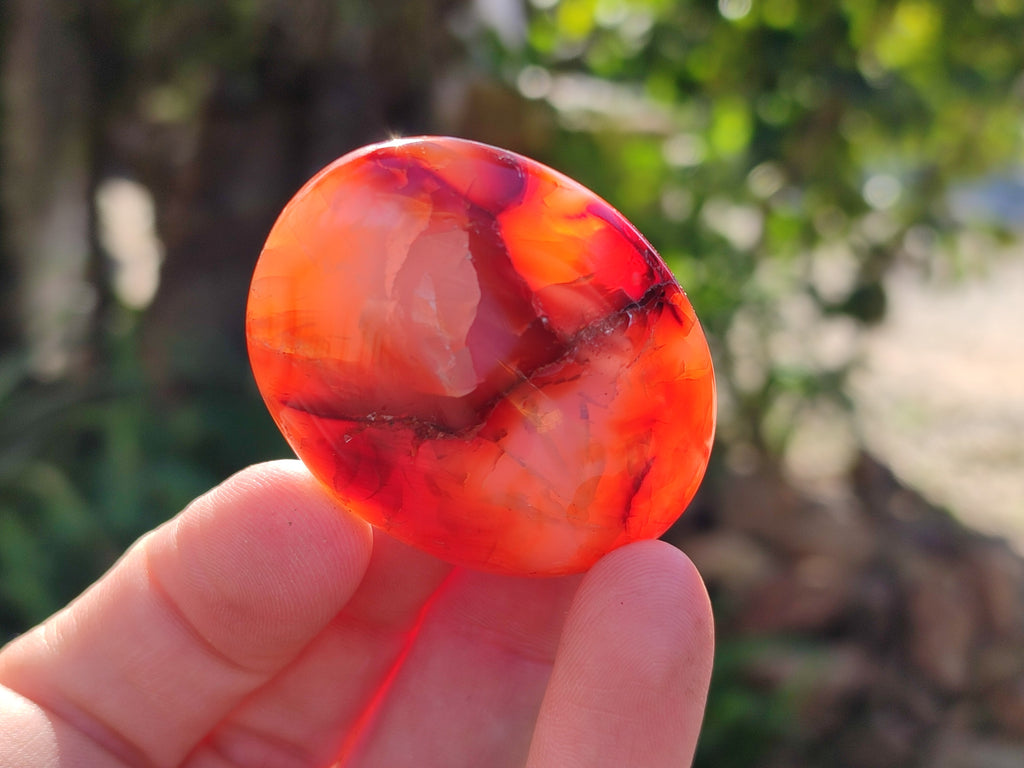 Polished Carnelian Palm Stones x 24 From Madagascar - Toprock Gemstones and Minerals 
