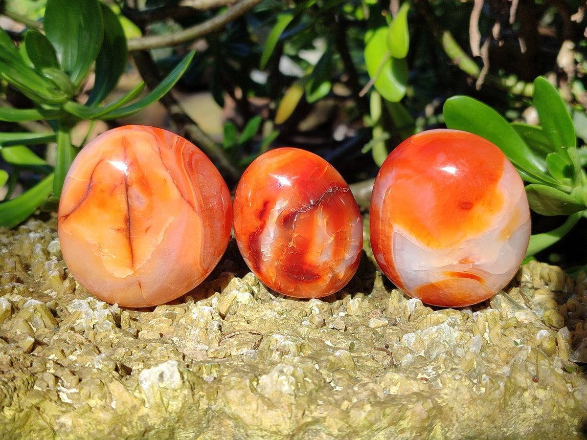Polished Carnelian Palm Stones x 24 From Madagascar - Toprock Gemstones and Minerals 