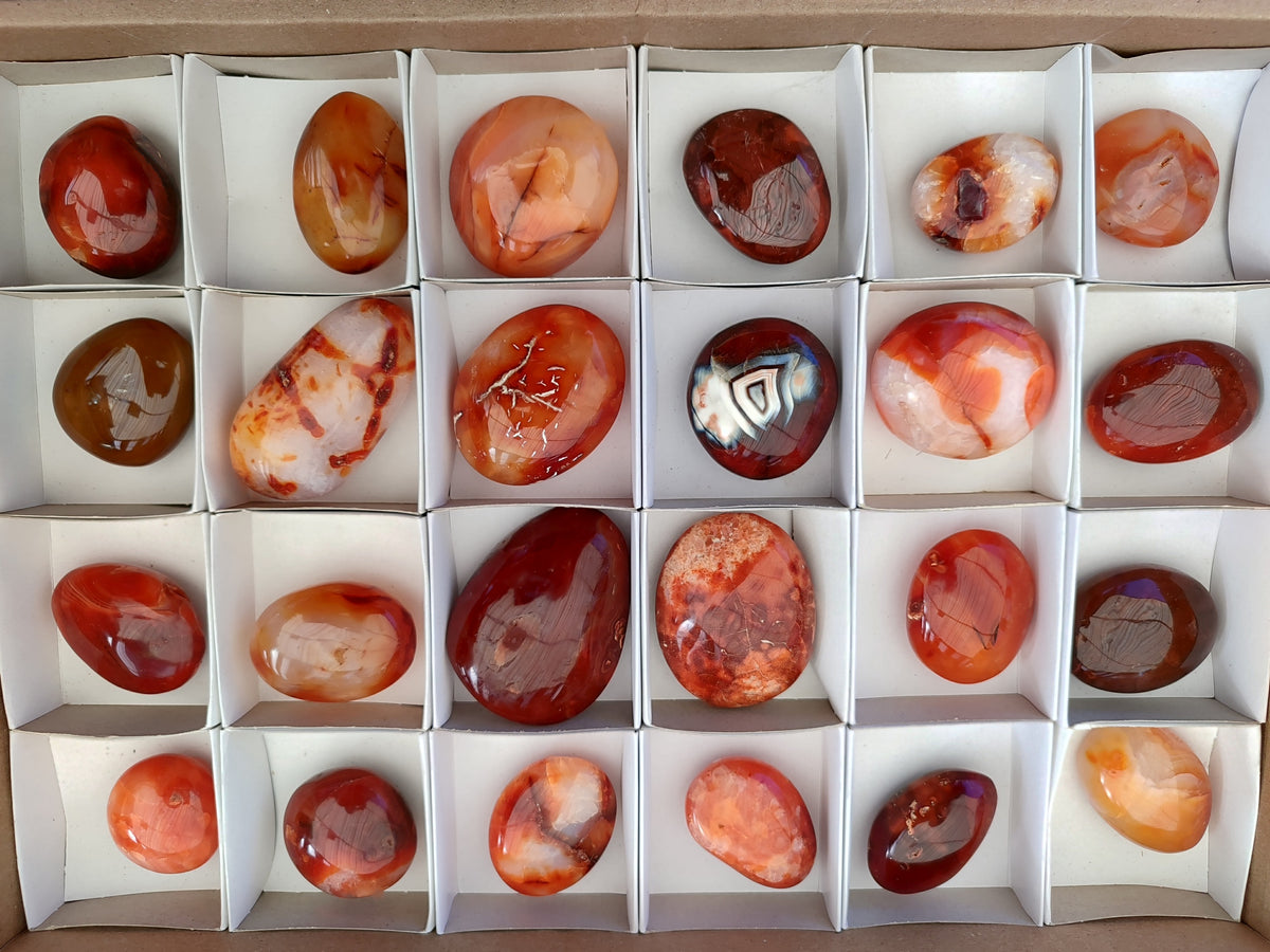 Polished Carnelian Palm Stones x 24 From Madagascar - Toprock Gemstones and Minerals 