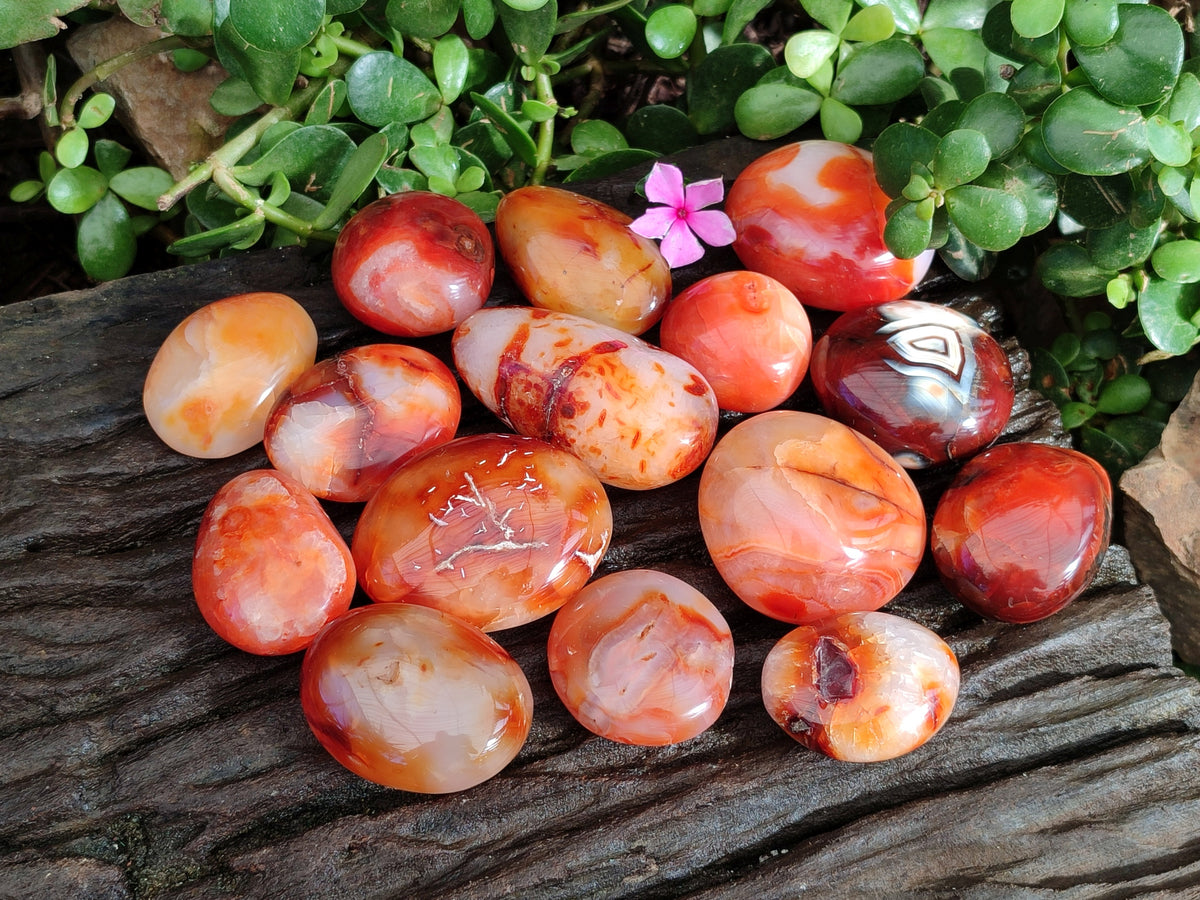 Polished Carnelian Palm Stones x 24 From Madagascar - Toprock Gemstones and Minerals 
