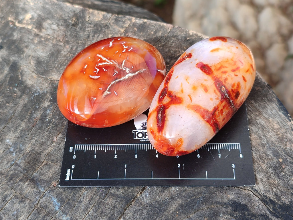 Polished Carnelian Palm Stones x 24 From Madagascar - Toprock Gemstones and Minerals 