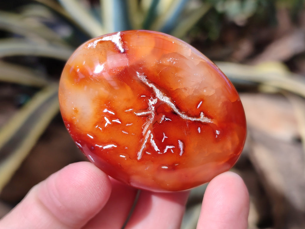 Polished Carnelian Palm Stones x 24 From Madagascar - Toprock Gemstones and Minerals 