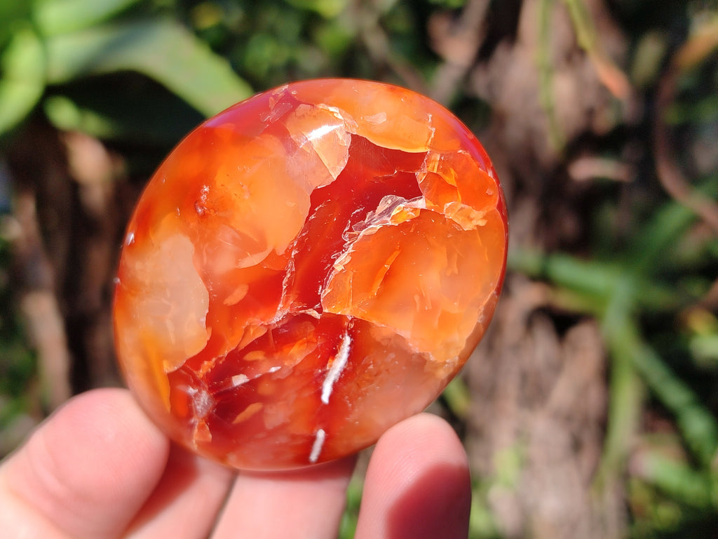 Polished Carnelian Palm Stones x 24 From Madagascar - Toprock Gemstones and Minerals 
