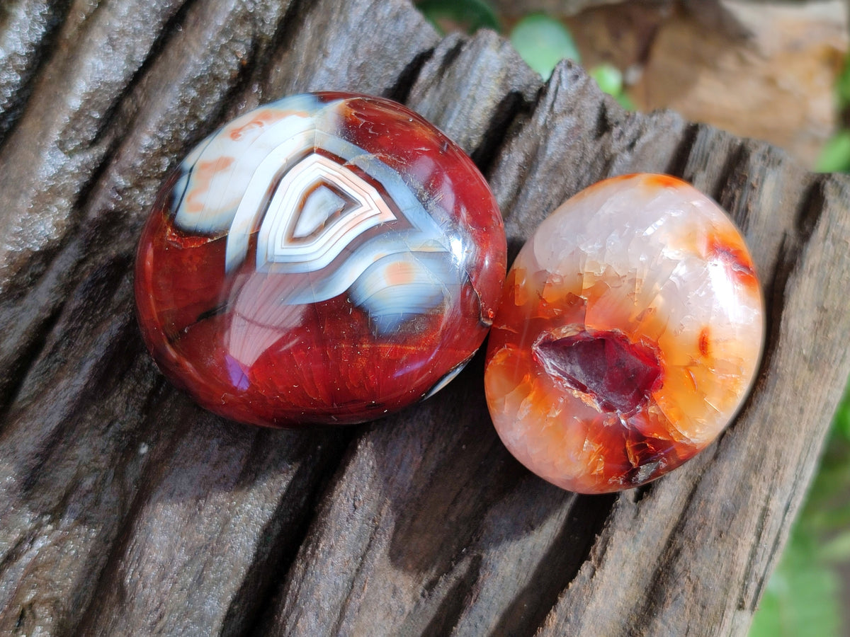 Polished Carnelian Palm Stones x 24 From Madagascar - Toprock Gemstones and Minerals 