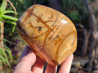 Polished Picture Stone Jasper Standing Free Forms x 2 From Ais-Ais, Namibia - Toprock Gemstones and Minerals 