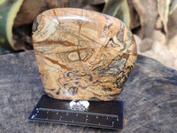 Polished Picture Stone Jasper Standing Free Forms x 2 From Ais-Ais, Namibia - Toprock Gemstones and Minerals 