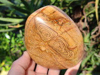 Polished Picture Stone Jasper Standing Free Forms x 2 From Ais-Ais, Namibia - Toprock Gemstones and Minerals 